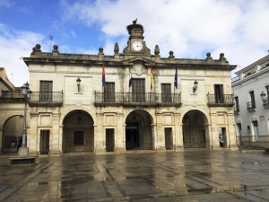 Ayuntamiento Guareña: Corrección errores bases y convocatoria para la provisión de una plaza de Trabajador/a Social de Base 081 Guareña y Torrefresneda